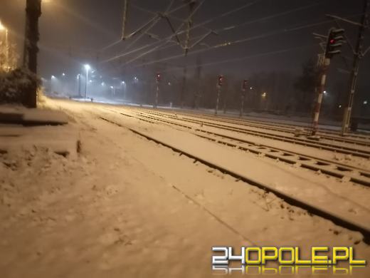 Spadł pierwszy śnieg. Opolanie...ulepili bałwany!