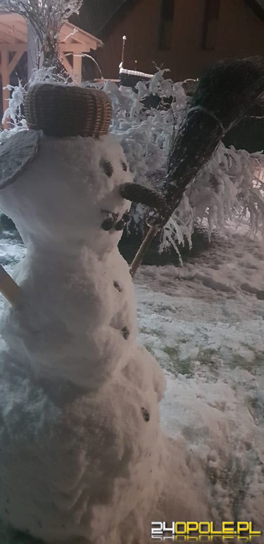 Spadł pierwszy śnieg. Opolanie...ulepili bałwany!