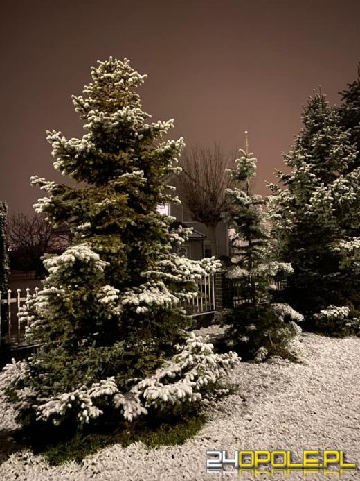 Spadł pierwszy śnieg. Opolanie...ulepili bałwany!