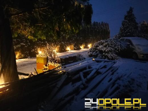 Spadł pierwszy śnieg. Opolanie...ulepili bałwany!