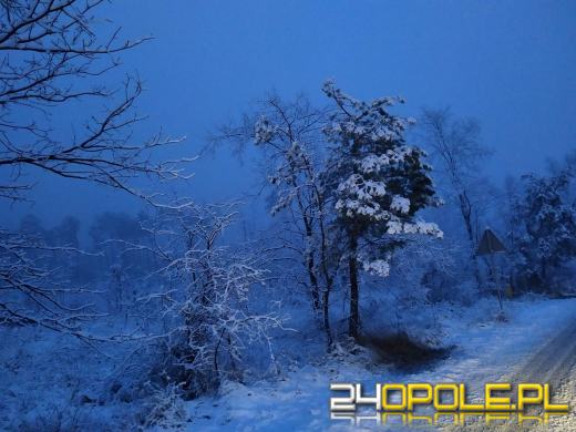 Spadł pierwszy śnieg. Opolanie...ulepili bałwany!