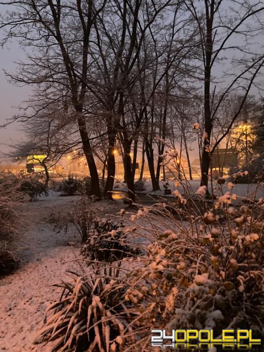 Spadł pierwszy śnieg. Opolanie...ulepili bałwany!