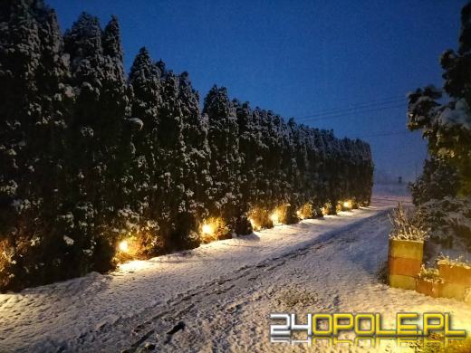 Spadł pierwszy śnieg. Opolanie...ulepili bałwany!