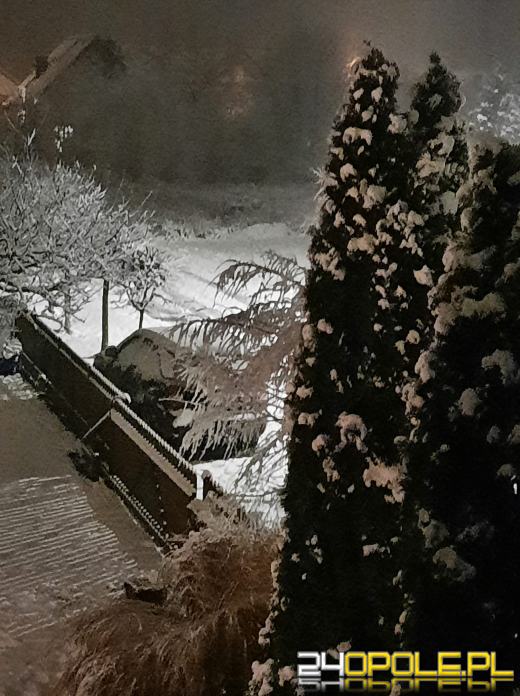 Spadł pierwszy śnieg. Opolanie...ulepili bałwany!