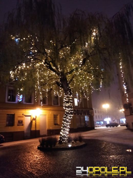 Spadł pierwszy śnieg. Opolanie...ulepili bałwany!