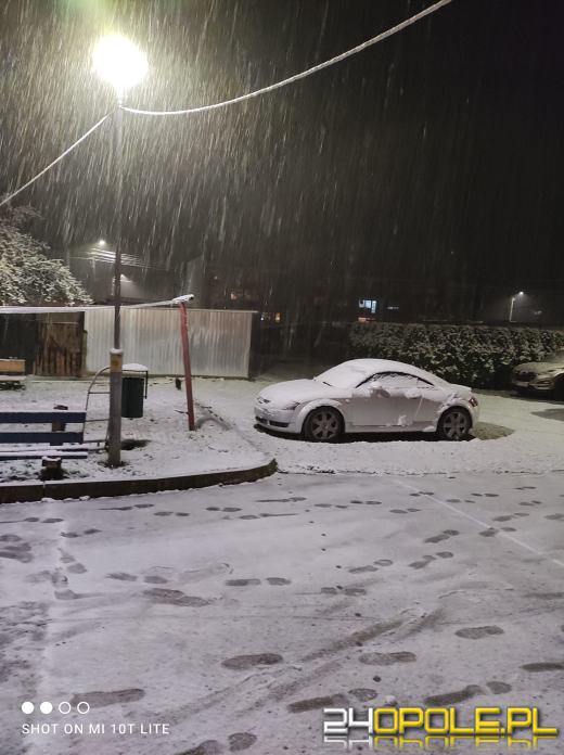 Spadł pierwszy śnieg. Opolanie...ulepili bałwany!