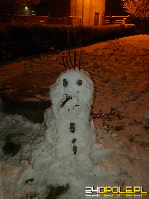 Spadł pierwszy śnieg. Opolanie...ulepili bałwany!