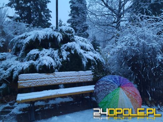 Spadł pierwszy śnieg. Opolanie...ulepili bałwany!
