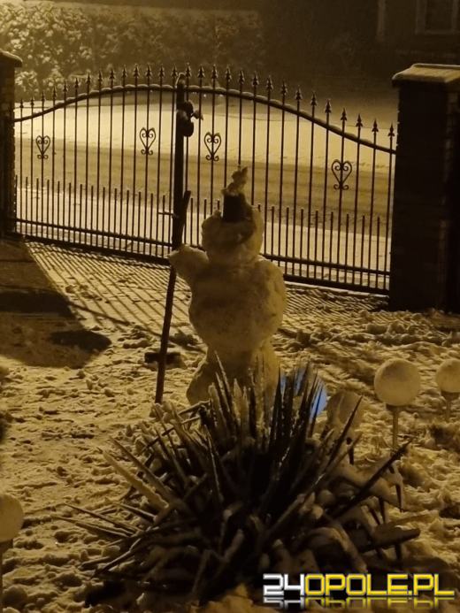 Spadł pierwszy śnieg. Opolanie...ulepili bałwany!