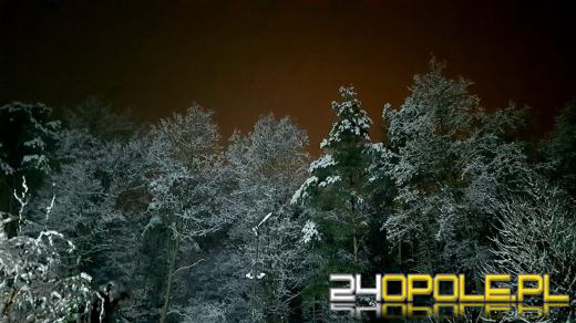 Spadł pierwszy śnieg. Opolanie...ulepili bałwany!