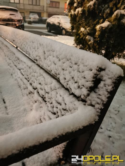 Spadł pierwszy śnieg. Opolanie...ulepili bałwany!