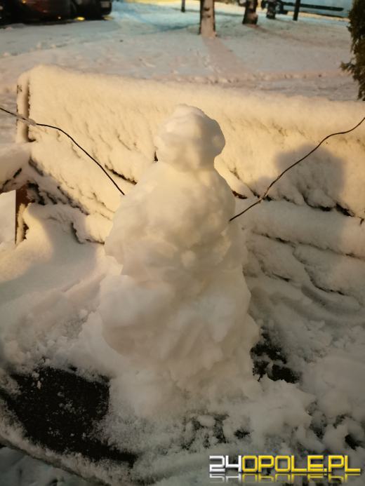 Spadł pierwszy śnieg. Opolanie...ulepili bałwany!