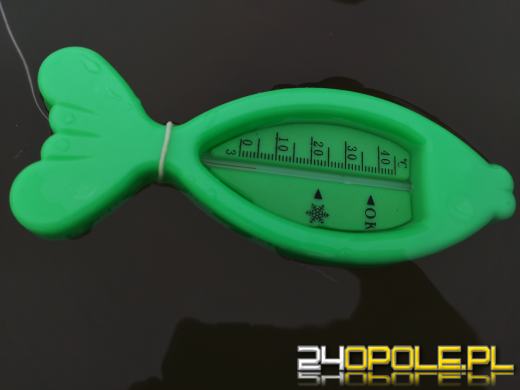 Morsy z Opola znów w wodzie. Zimowa sceneria cieszy