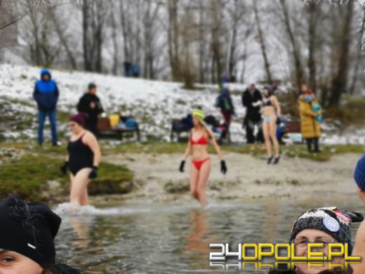 Morsy z Opola znów w wodzie. Zimowa sceneria cieszy