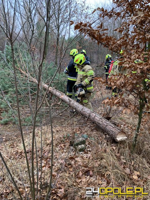 Rowerzyści uwięzieni w lesie. Strażacy ćwiczyli w nadleśnictwie