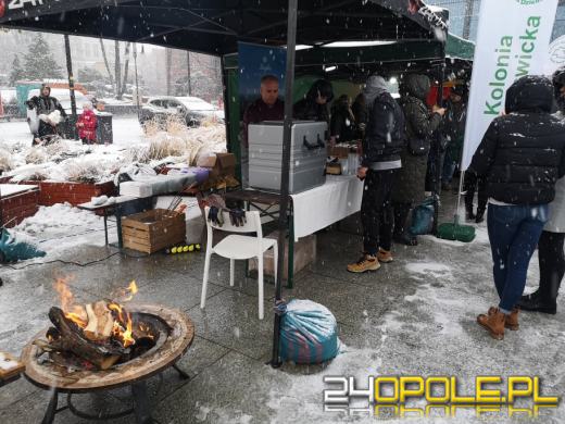 Ogromna kwota za życie Dawidka! Klinika wystawiła kosztorys