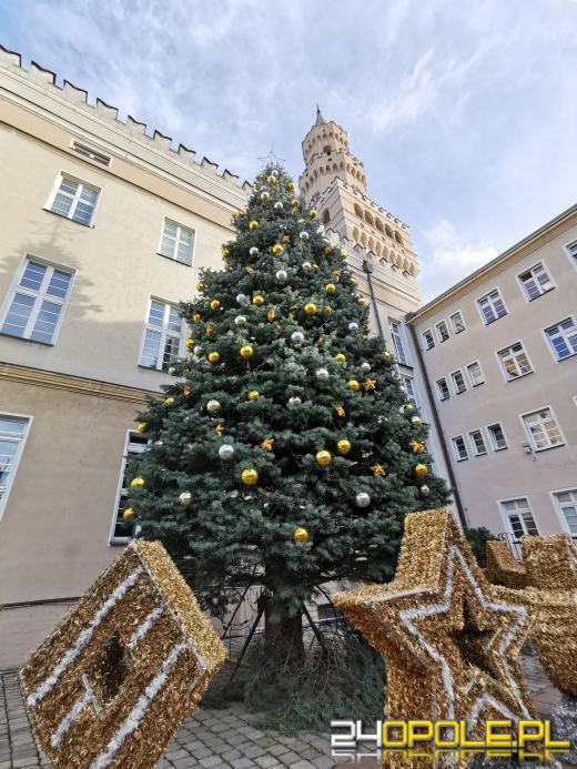 Opole przygotowane do świąt. Jutro rozpoczyna się Jarmark Bożonarodzeniowy