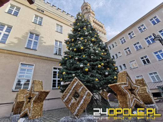 Opole przygotowane do świąt. Jutro rozpoczyna się Jarmark Bożonarodzeniowy