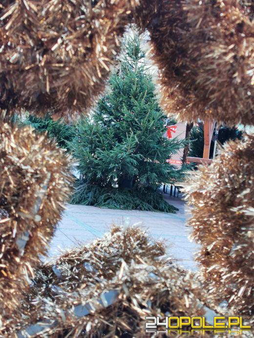 Opole przygotowane do świąt. Jutro rozpoczyna się Jarmark Bożonarodzeniowy