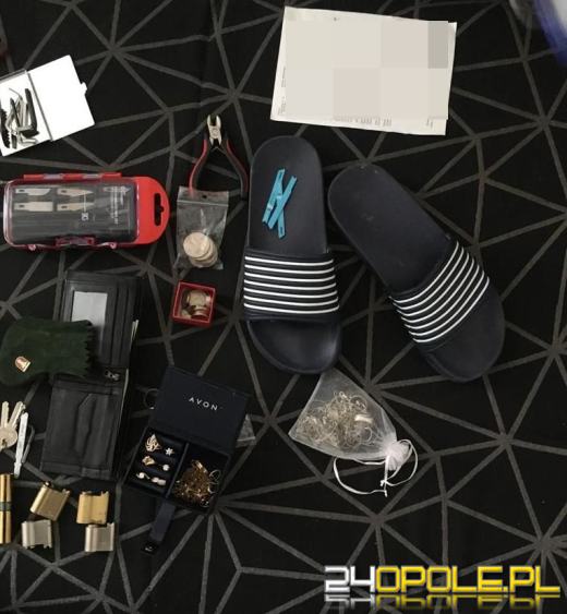 Trzech obywateli Gruzji włamywało się do opolskich mieszkań. Usłyszeli zarzuty