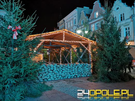 Opole przygotowane do świąt. Jutro rozpoczyna się Jarmark Bożonarodzeniowy