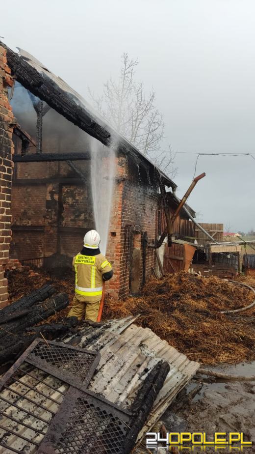 Pożar budynku gospodarczego w miejscowości Wężowice