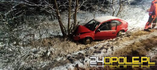 Kędzierzyn-Koźle: Samochód osobowy wypadł z drogi