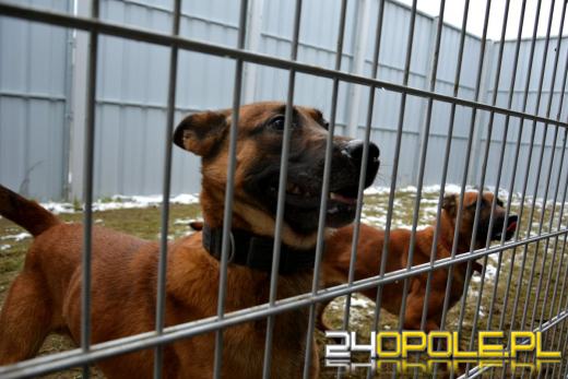 Nowa siedziba krapkowickich policjantów