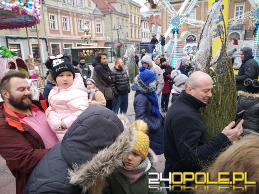 RMF rozdało ponad 1000 choinek