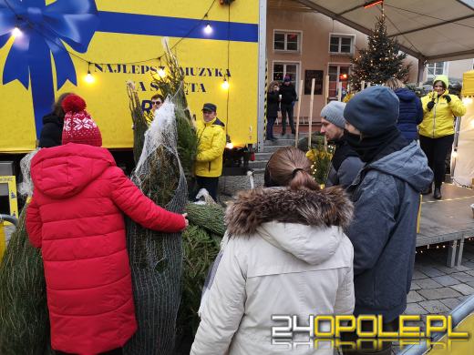 RMF rozdało ponad 1000 choinek
