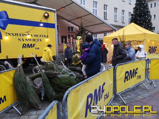 RMF rozdało ponad 1000 choinek