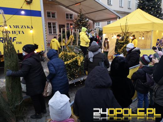 RMF rozdało ponad 1000 choinek