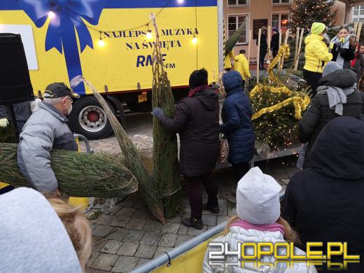 RMF rozdało ponad 1000 choinek