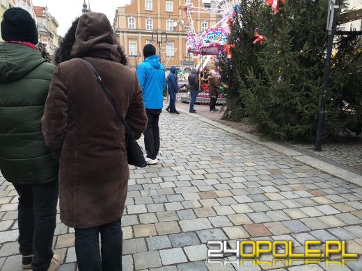 RMF rozdało ponad 1000 choinek