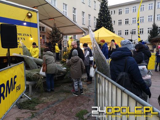 RMF rozdało ponad 1000 choinek