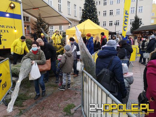 RMF rozdało ponad 1000 choinek