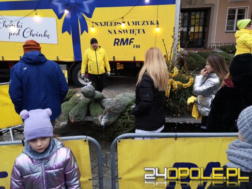 RMF rozdało ponad 1000 choinek