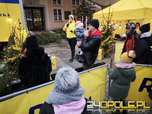 RMF rozdało ponad 1000 choinek