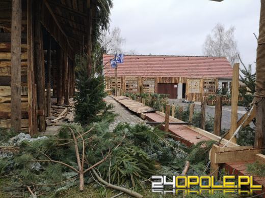 Powstaje szopka bożonarodzeniowa w Opolu-Szczepanowicach