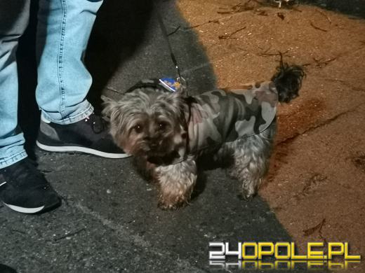 Nysa w obronie wolnych mediów. Oklejono biuro Kamila Bortniczuka