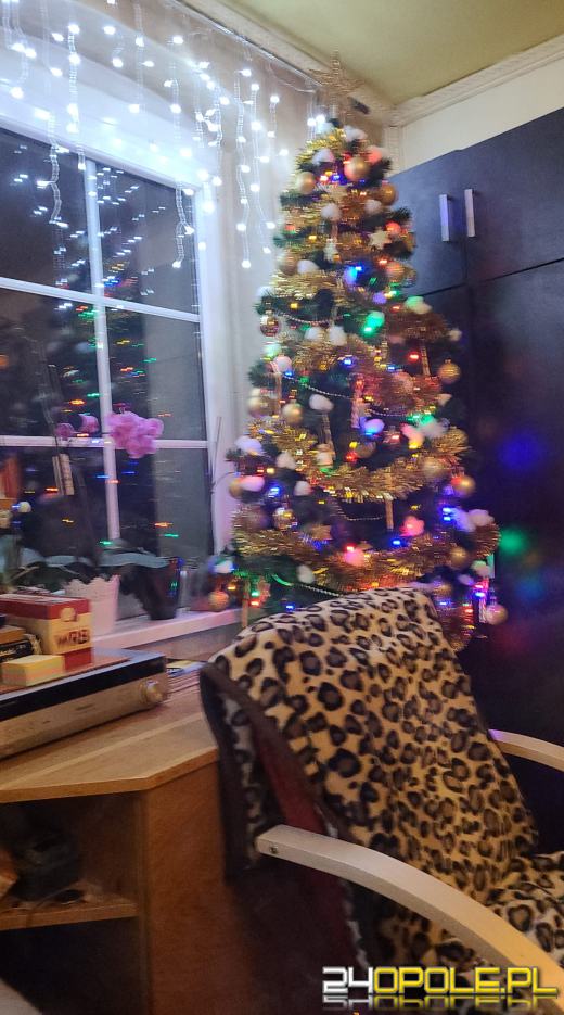 Choinki naszych czytelników robią wrażenie