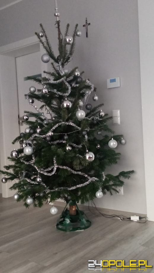 Choinki naszych czytelników robią wrażenie