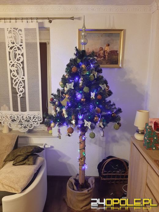 Choinki naszych czytelników robią wrażenie