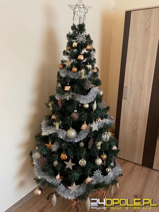 Choinki naszych czytelników robią wrażenie
