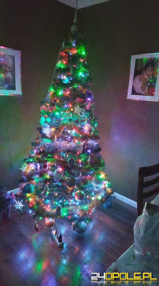 Choinki naszych czytelników robią wrażenie