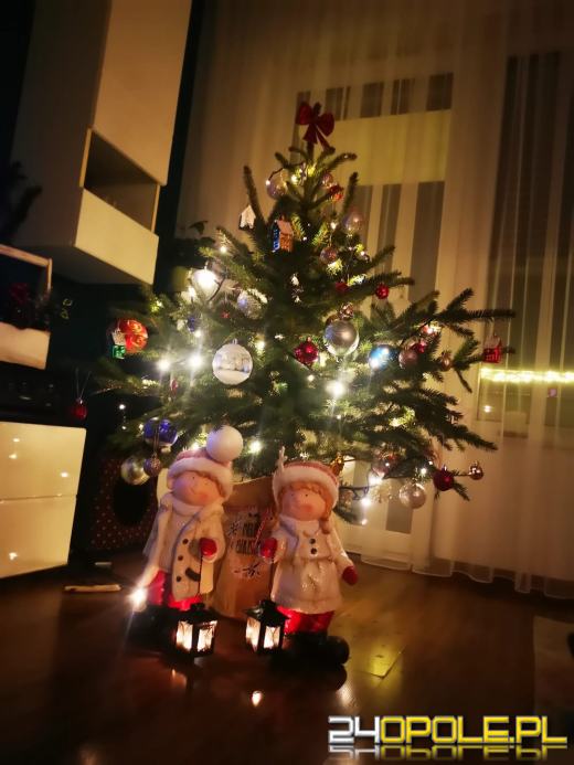 Choinki naszych czytelników robią wrażenie