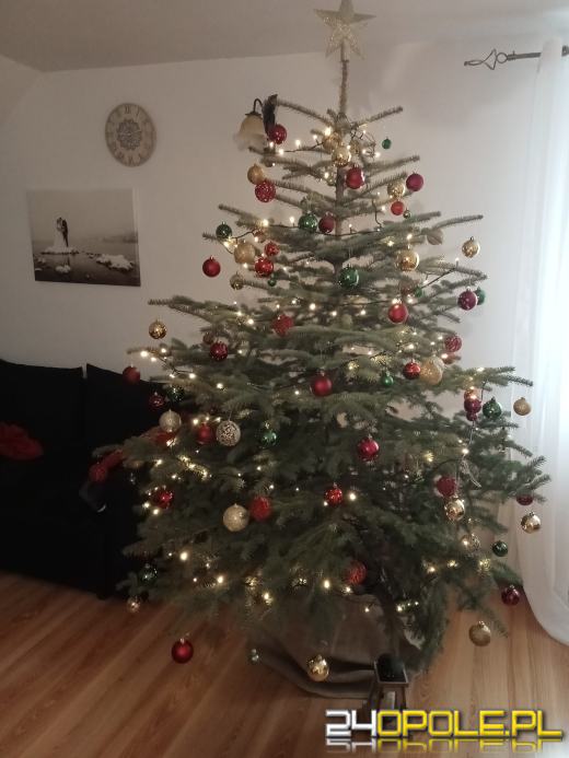 Choinki naszych czytelników robią wrażenie