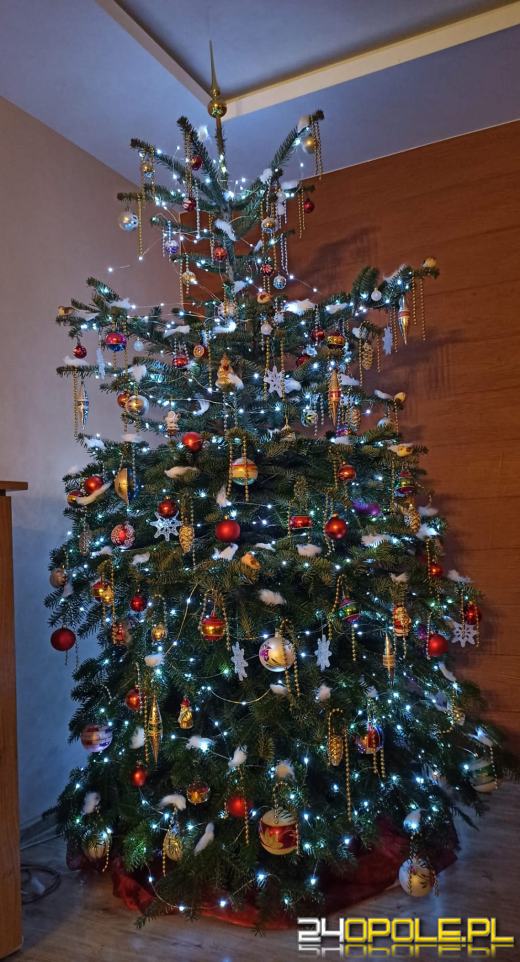 Choinki naszych czytelników robią wrażenie
