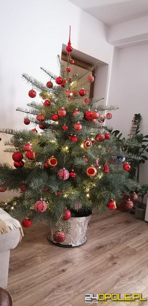 Choinki naszych czytelników robią wrażenie