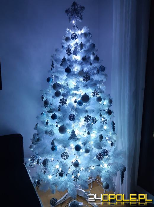 Choinki naszych czytelników robią wrażenie